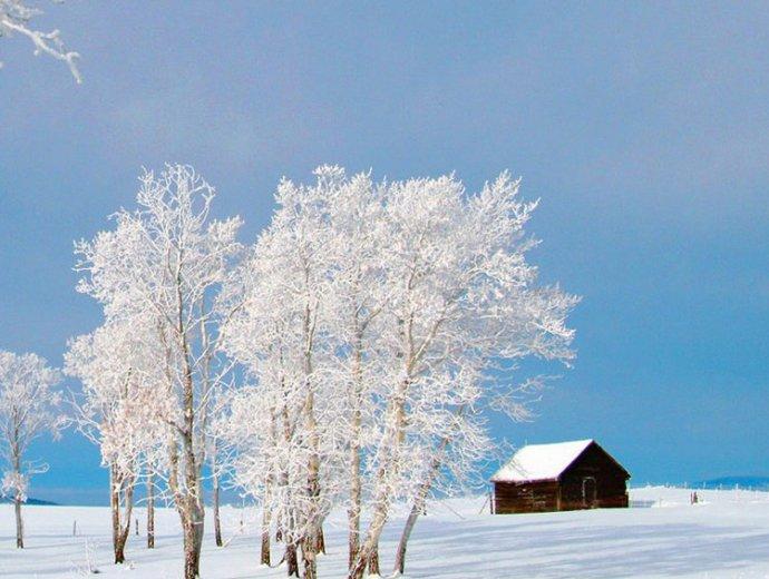 关于雪的句子让你读过之后瞬间被浪漫围绕