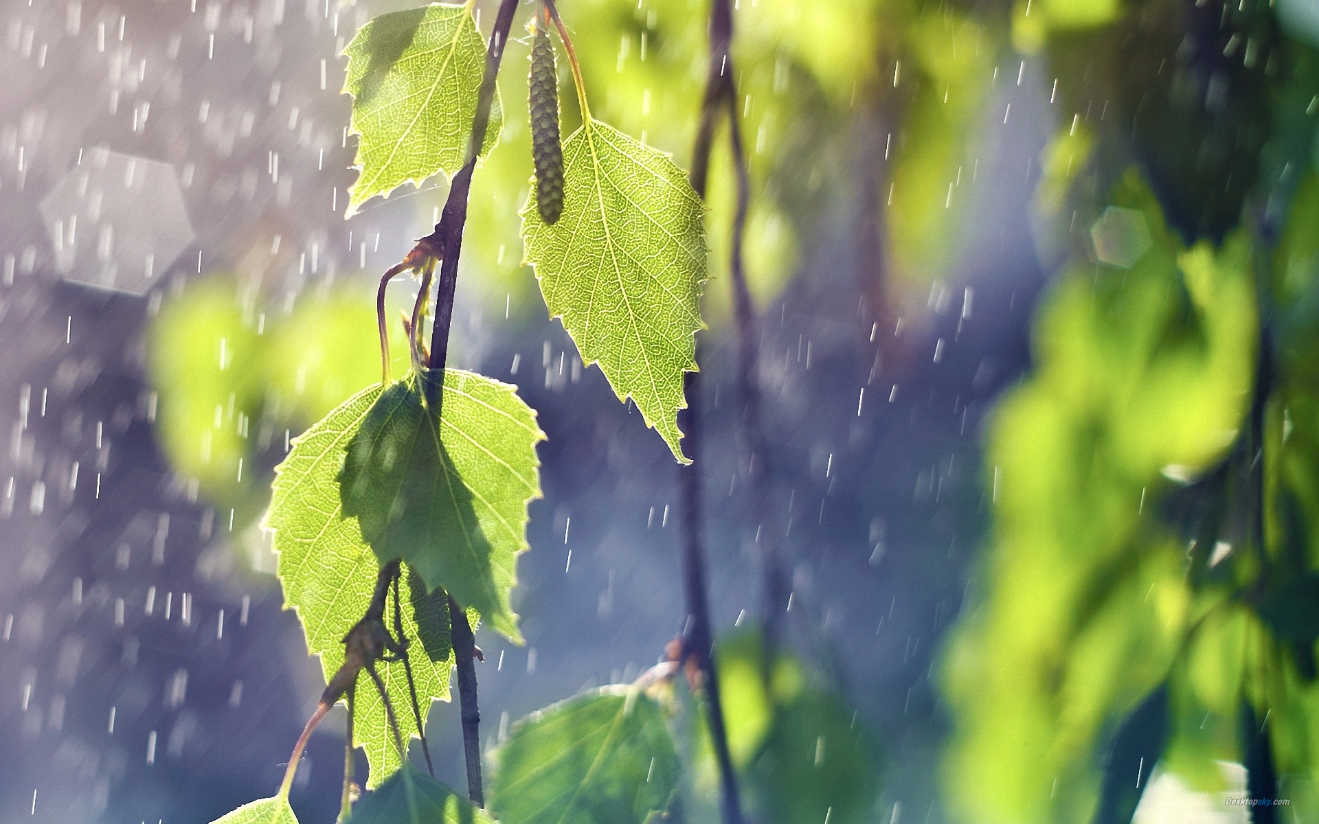 伤感落寞的下雨图片唯美雨滴壁纸图片