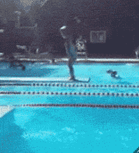 幽默搞笑的游泳表情包游泳健身了解一下
