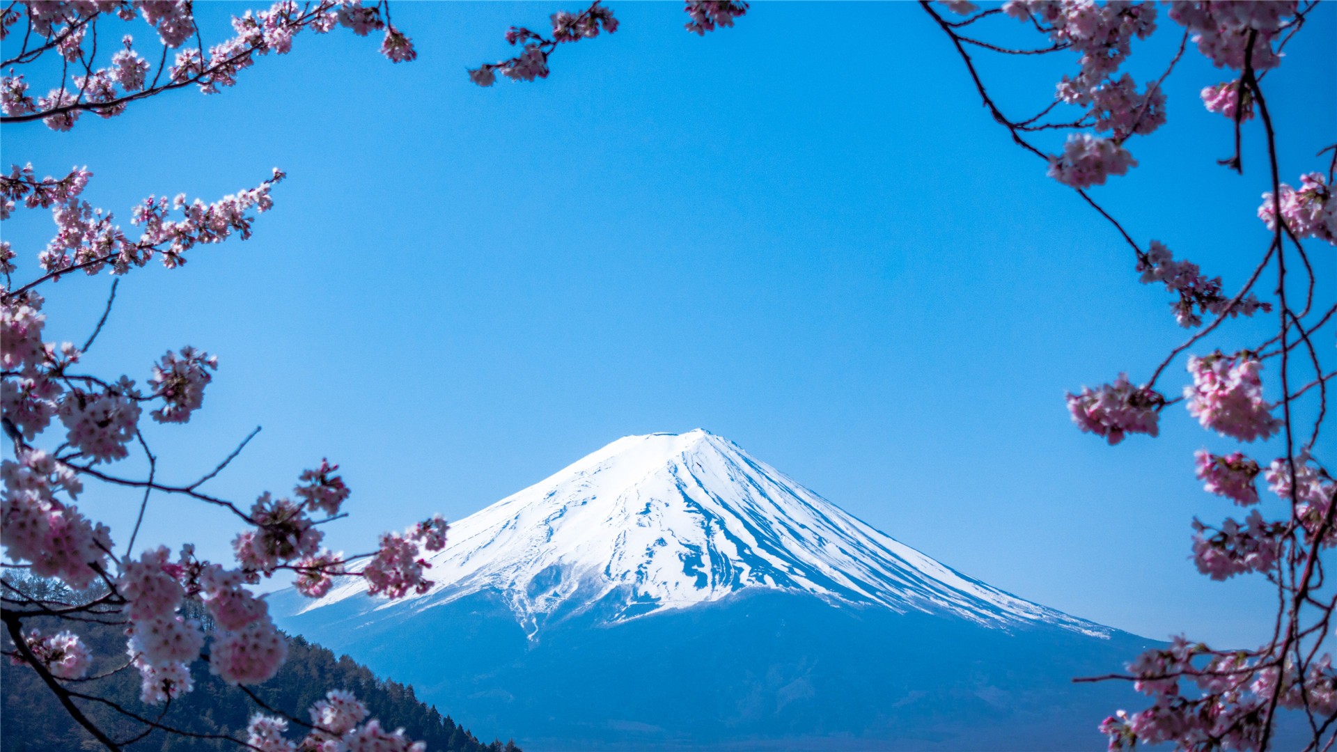 富士山唯美意境风景图片谁能凭爱意要富士山私有 可爱点