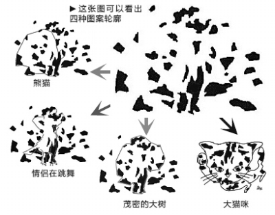 关于观察的名言 大家要好好领悟一下