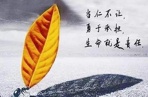 责任名言 责任是一种担当