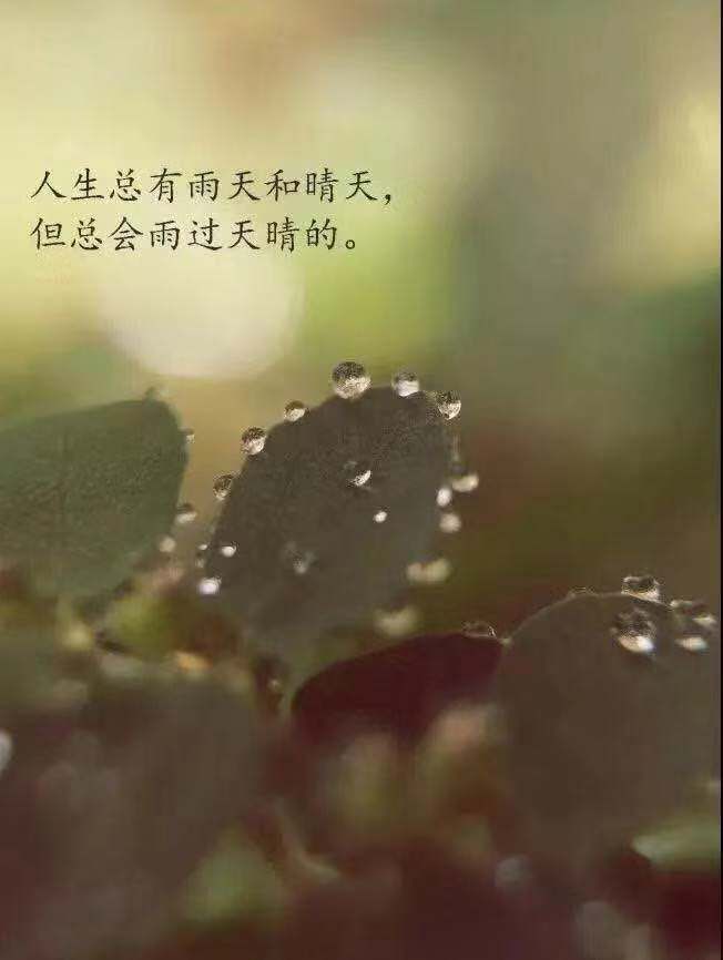 意味深长的句子