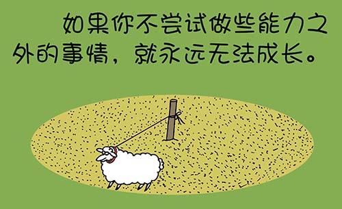 人生哲理名言 你悟出了什么