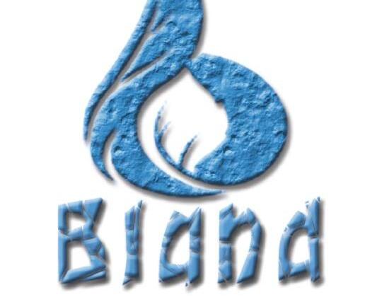 关于bland line 的中文意思和相似单词等，你了解多少