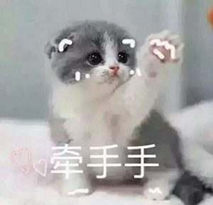 猫咪撒娇表情图片 撒娇的猫咪太撩人了~~~