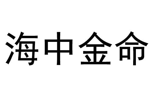 海中金命是什么意思