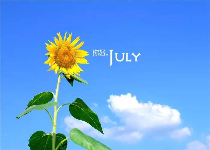 六月，再见；七月，你好！七月的日子，阳光正好！