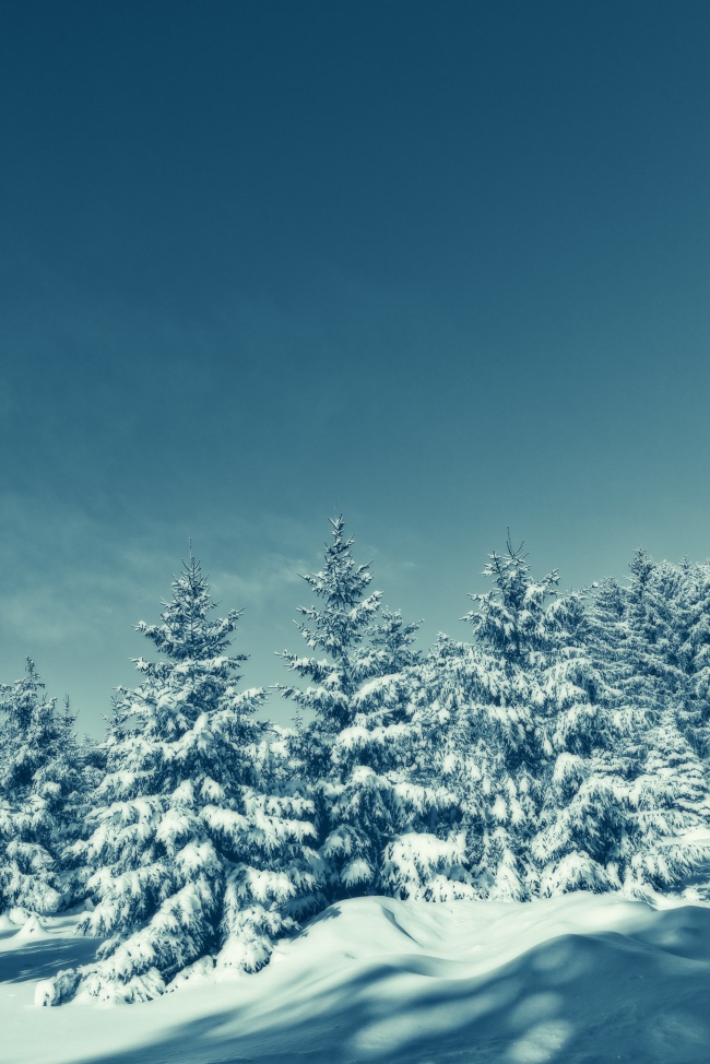 雪景图片美丽动人的高清雪景图片壁纸 可爱点